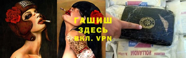 индика Армянск