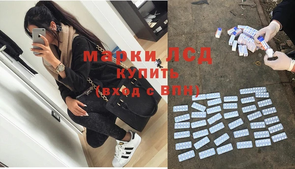 ПСИЛОЦИБИНОВЫЕ ГРИБЫ Арсеньев
