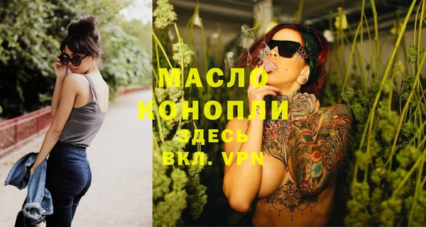 индика Армянск