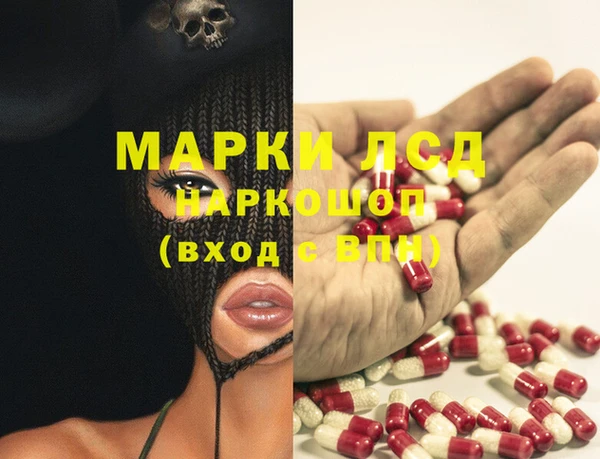 ПСИЛОЦИБИНОВЫЕ ГРИБЫ Арсеньев