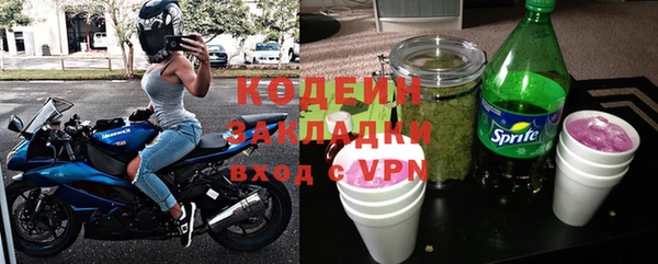 ПСИЛОЦИБИНОВЫЕ ГРИБЫ Арсеньев