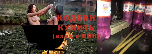 ПСИЛОЦИБИНОВЫЕ ГРИБЫ Арсеньев