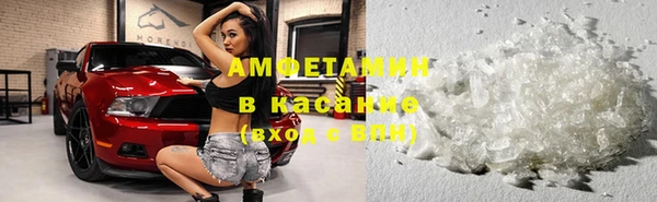 индика Армянск