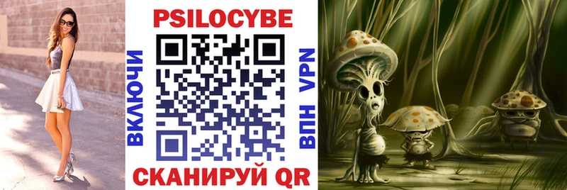 купить наркотик  Свирск  Галлюциногенные грибы Psilocybine cubensis 